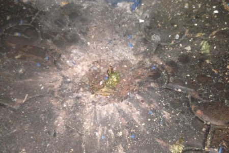 В селе Граденицы во дворе частного дома прогремел взрыв (фото)