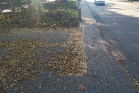 На углу Инглези и Варненской обустроят дополнительную полосу движения (фото)
