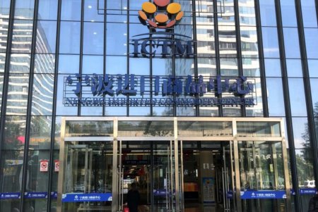 Город перенимает опыт Китая в создании свободных экономических зон (фото)