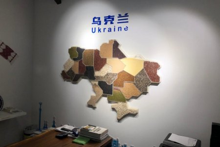 Город перенимает опыт Китая в создании свободных экономических зон (фото)