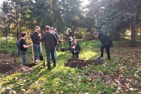 В городских скверах высадили еще почти 200 деревьев (фото)