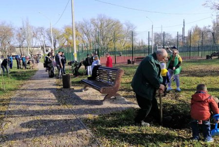 В городских скверах высадили еще почти 200 деревьев (фото)