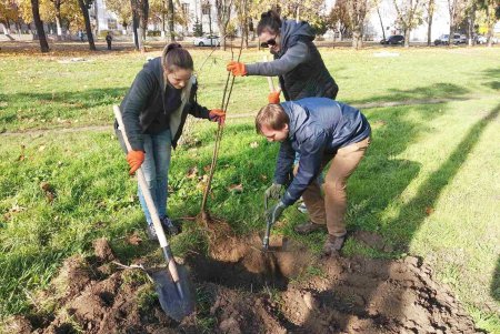 В городских скверах высадили еще почти 200 деревьев (фото)