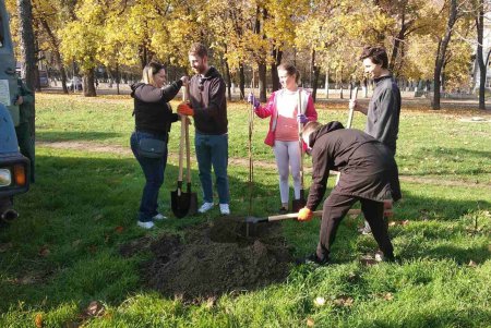 В городских скверах высадили еще почти 200 деревьев (фото)
