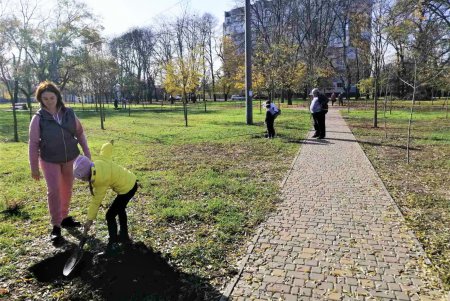 В городских скверах высадили еще почти 200 деревьев (фото)