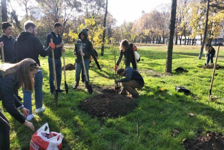 В городских скверах высадили еще почти 200 деревьев (фото)