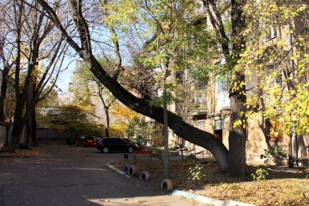 Прогулка по Французскому бульвару (фоторепортаж)