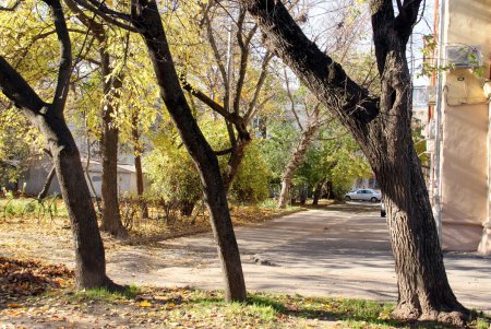 Прогулка по Французскому бульвару (фоторепортаж)