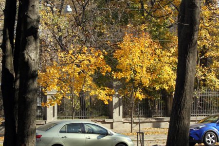 Прогулка по Французскому бульвару (фоторепортаж)