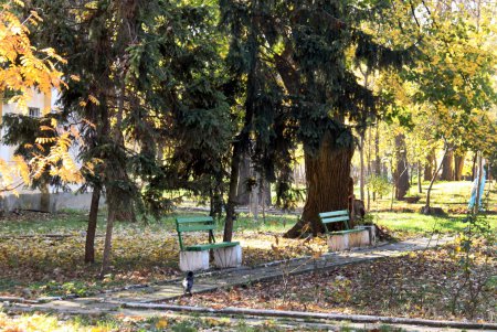 Прогулка по Французскому бульвару (фоторепортаж)