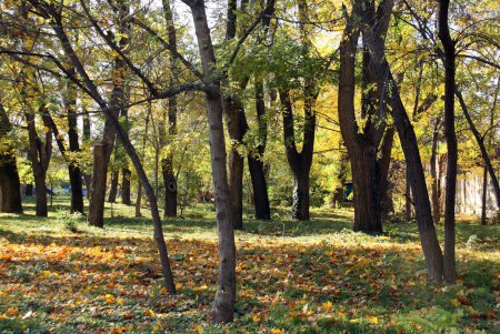 Прогулка по Французскому бульвару (фоторепортаж)