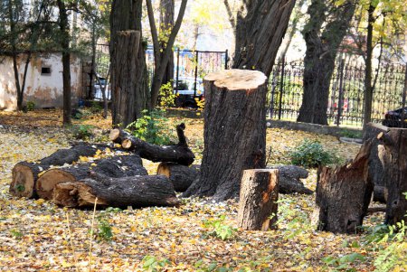 Прогулка по Французскому бульвару (фоторепортаж)