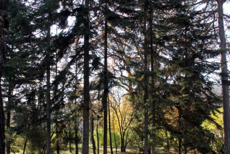 Прогулка по Французскому бульвару (фоторепортаж)