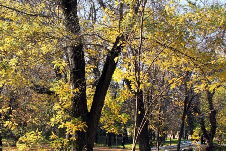 Прогулка по Французскому бульвару (фоторепортаж)