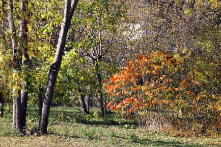 Прогулка по Французскому бульвару (фоторепортаж)