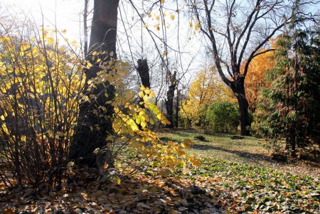 Прогулка по Французскому бульвару (фоторепортаж)