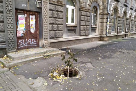 Инспекторы выявили более 230 нарушений правил благоустройства (фото)