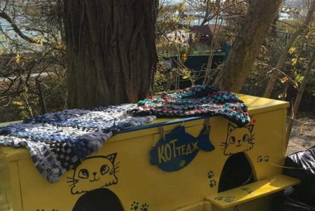 «КОТтедж» с видом на море: для местных котиков построили новый дом (фото)