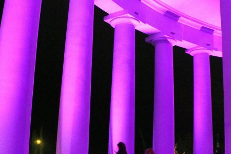 Воронцовскую колоннаду подсветили сиреневым цветом в честь Дня недоношенных детей (фоторепортаж)