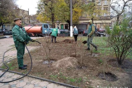 В парках и скверах подметают дорожки, убирают мусор и ухаживают за газонами (фото)
