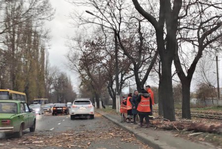 Шквалистый ветер повалил деревья и оборвал провода: коммунальщики уже устраняют последствия непогоды (фото)