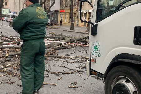 Шквалистый ветер повалил деревья и оборвал провода: коммунальщики уже устраняют последствия непогоды (фото)