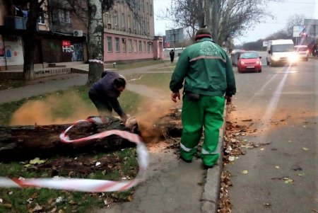 Обрывы электросетей и рухнувшие деревья: одесситов предупреждают об опасности (фото)