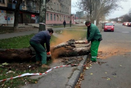 Обрывы электросетей и рухнувшие деревья: одесситов предупреждают об опасности (фото)
