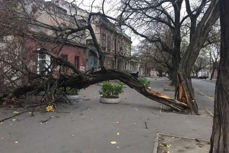 Обрывы электросетей и рухнувшие деревья: одесситов предупреждают об опасности (фото)