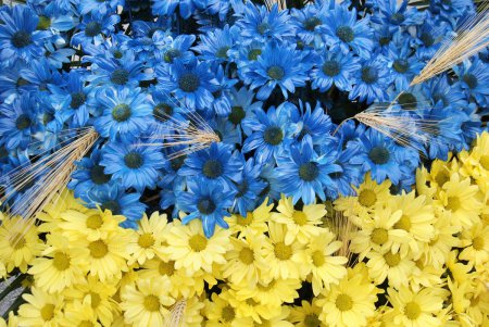 Одесситы почтили память жертв Голодоморов (фоторепортаж)
