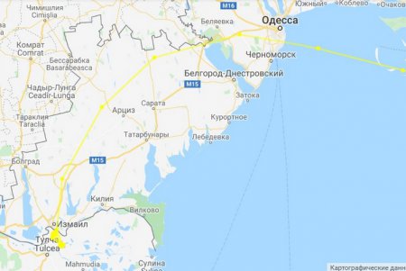 Казарка-спринтер преодолела тысячу километров за 10 часов, пролетев над Таирова (фото)