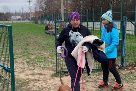 В городском центре дрессировки прошло зрелищное соревнование собак «Веселые лапки» (фото)