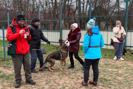 В городском центре дрессировки прошло зрелищное соревнование собак «Веселые лапки» (фото)