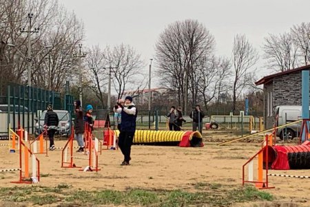 В городском центре дрессировки прошло зрелищное соревнование собак «Веселые лапки» (фото)