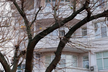 Прогулка по улице Посмитного (фоторепортаж)