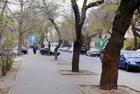 Прогулка по улице Посмитного (фоторепортаж)