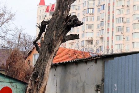Прогулка по улице Посмитного (фоторепортаж)