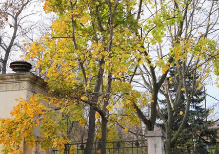 Прогулка по улице Посмитного (фоторепортаж)