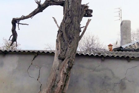 Прогулка по улице Посмитного (фоторепортаж)