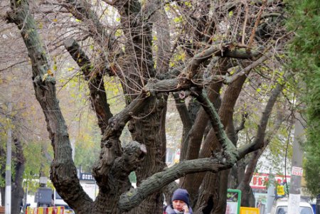 Прогулка по улице Посмитного (фоторепортаж)