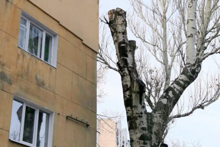 Прогулка по улице Посмитного (фоторепортаж)
