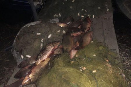 В заливе Днестровского лимана нашли почти полторы тысячи метров браконьерских сетей (фото)