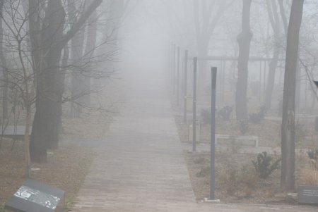 Утром центр Одессы «утонул» в тумане (фоторепортаж)