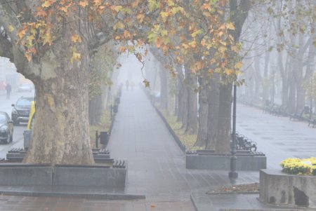 Утром центр Одессы «утонул» в тумане (фоторепортаж)