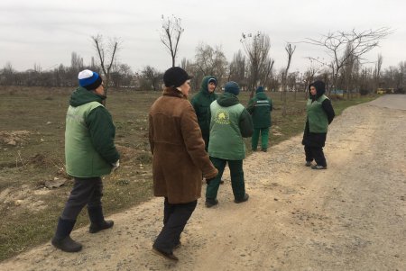 Шестая в городе: в Лузановке появилась Аллея сирени (фото)