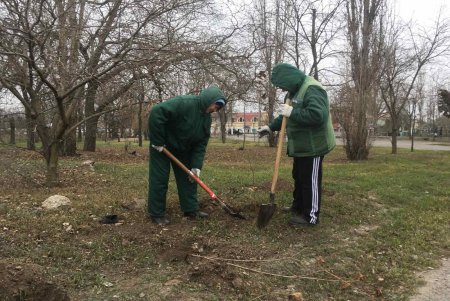 Шестая в городе: в Лузановке появилась Аллея сирени (фото)