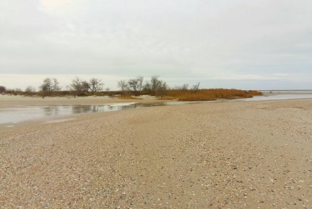 Штормы засыпали песком прорву между Черным морем и Тузловскими лиманами: может пострадать кефаль (фото)