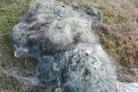  Пограничники оставили без улова браконьера в Измаильском районе (фото)