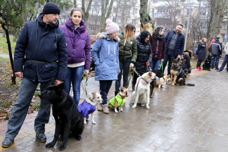 Исполнение мечты: незрячая одесситка получила собаку–поводыря (фото)
