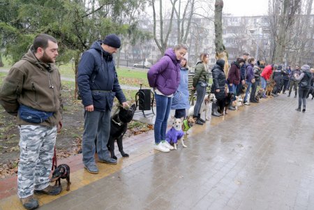 Исполнение мечты: незрячая одесситка получила собаку–поводыря (фото)